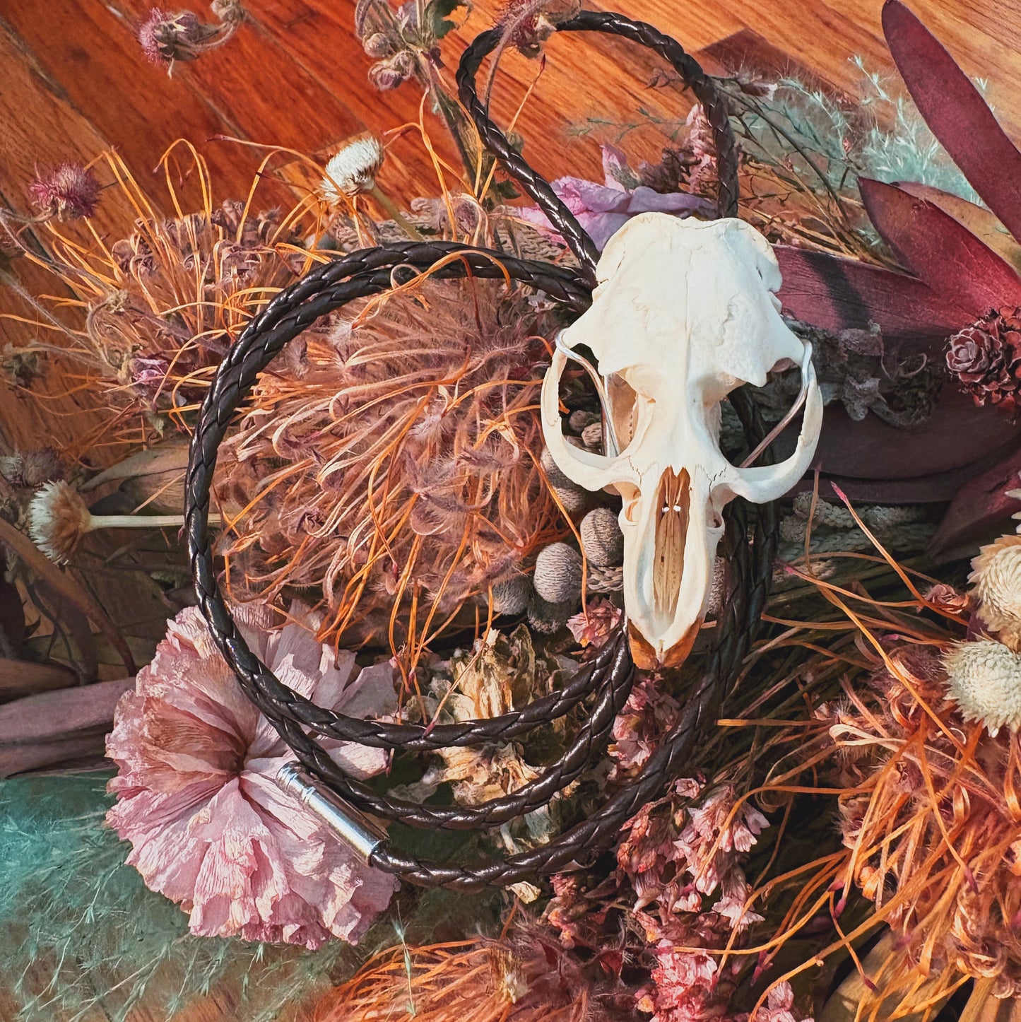26 Muskrat Skull Bolo Tie - “The Quiet Kind”