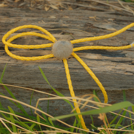 114 Coral Fossil Bolo Tie - “Pale Mesa”