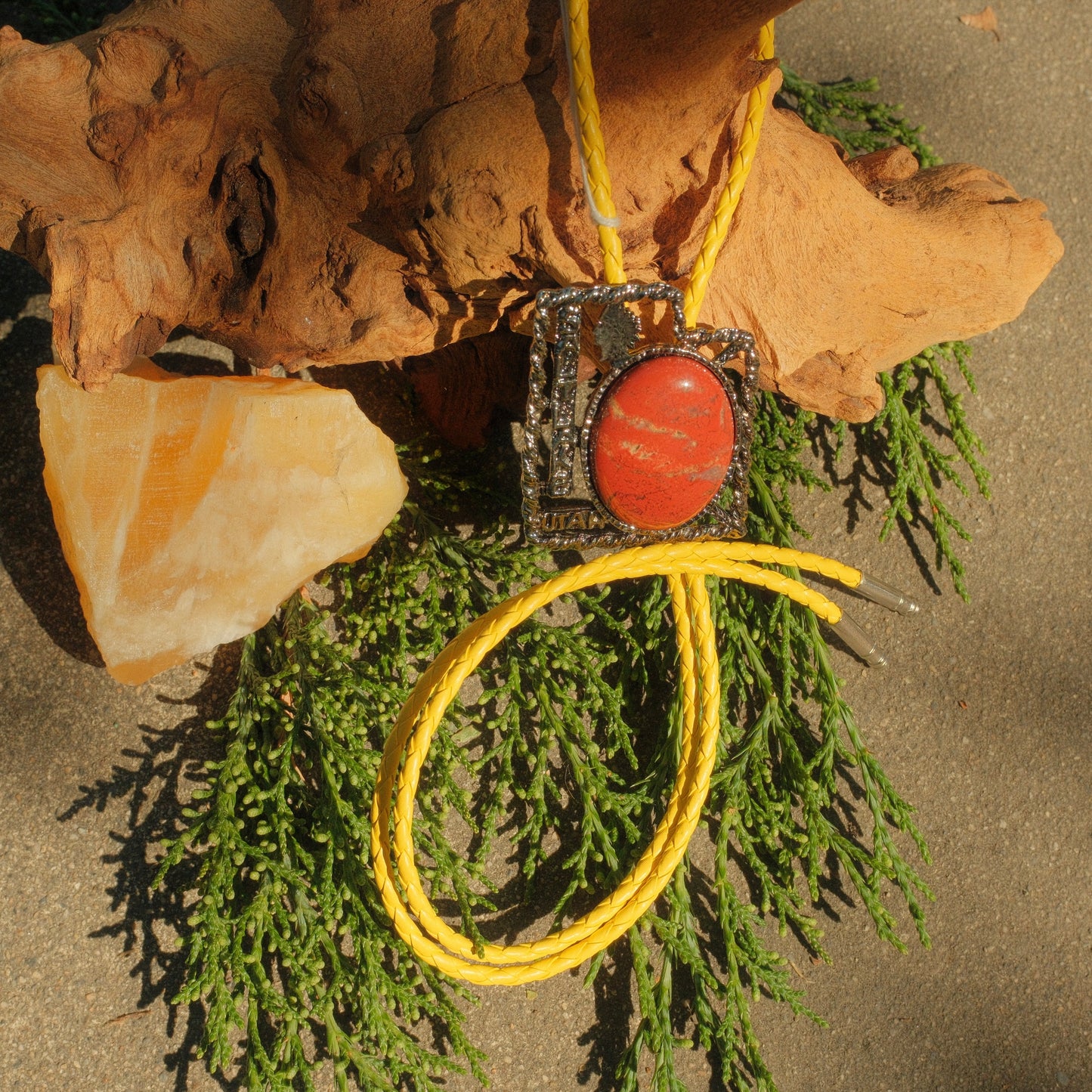 106 Red River Jasper Bolo Tie - “Zion Springs”