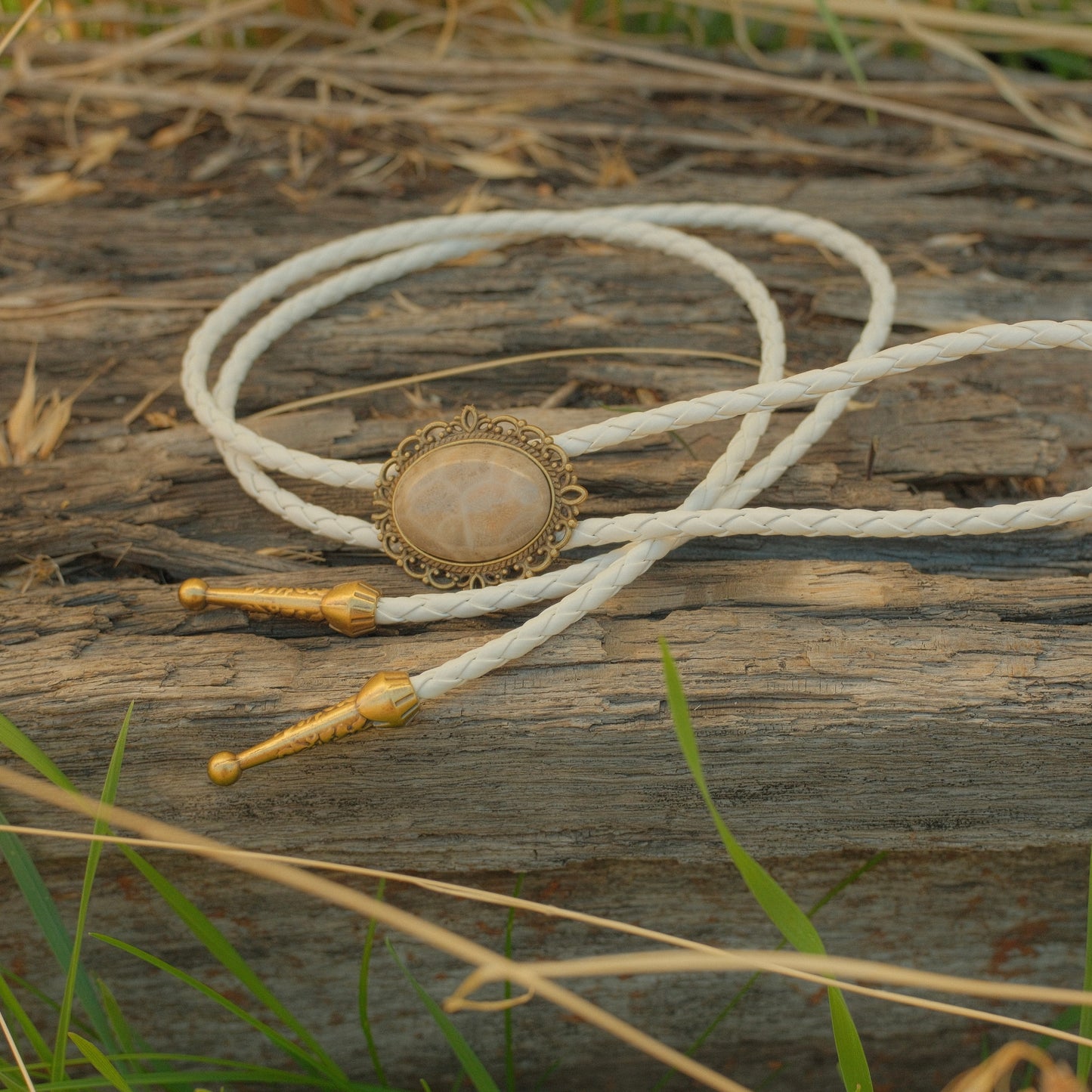 75 Coral Fossil Bolo Tie - “Dead Man’s Rodeo”