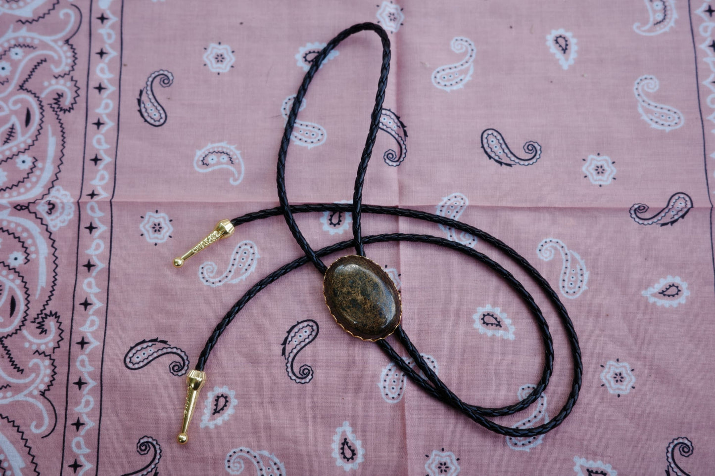 93 Bronzite Bolo Tie - “Dust & Glory”