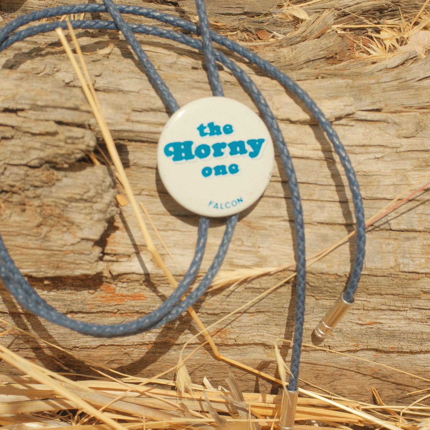 377 Vintage Button Bolo Tie - “The Horny One”