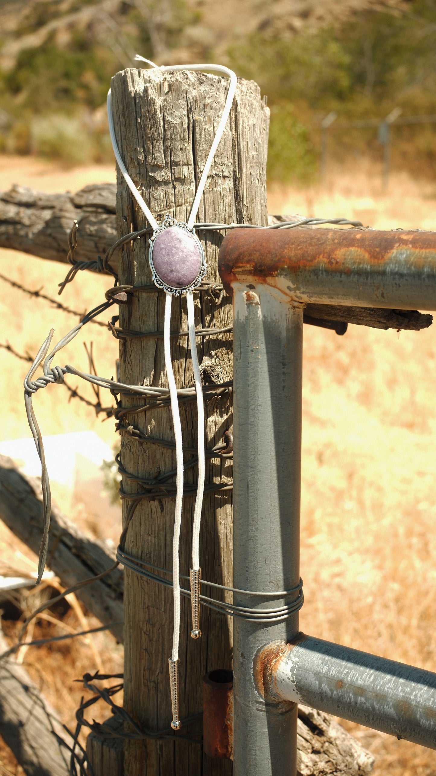 32 Amethyst Bolo Tie - “Witchy Moon”