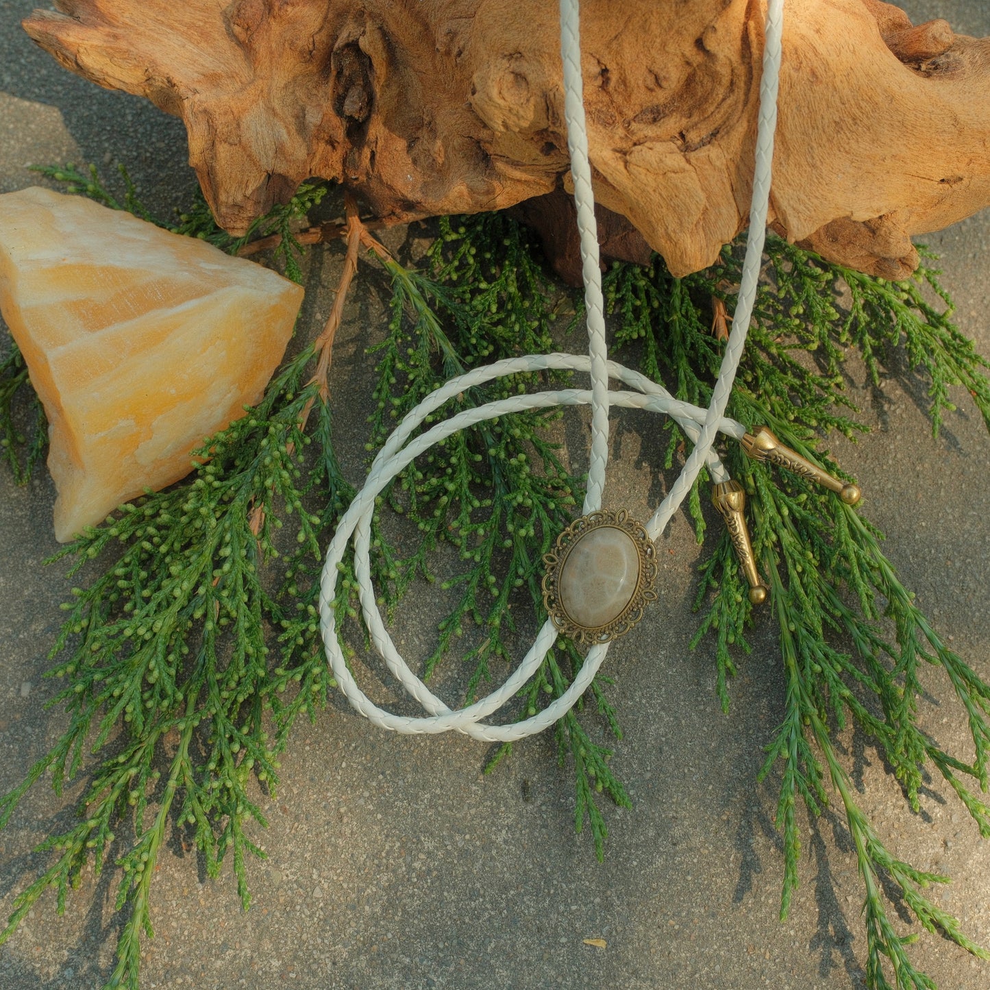 75 Coral Fossil Bolo Tie - “Dead Man’s Rodeo”