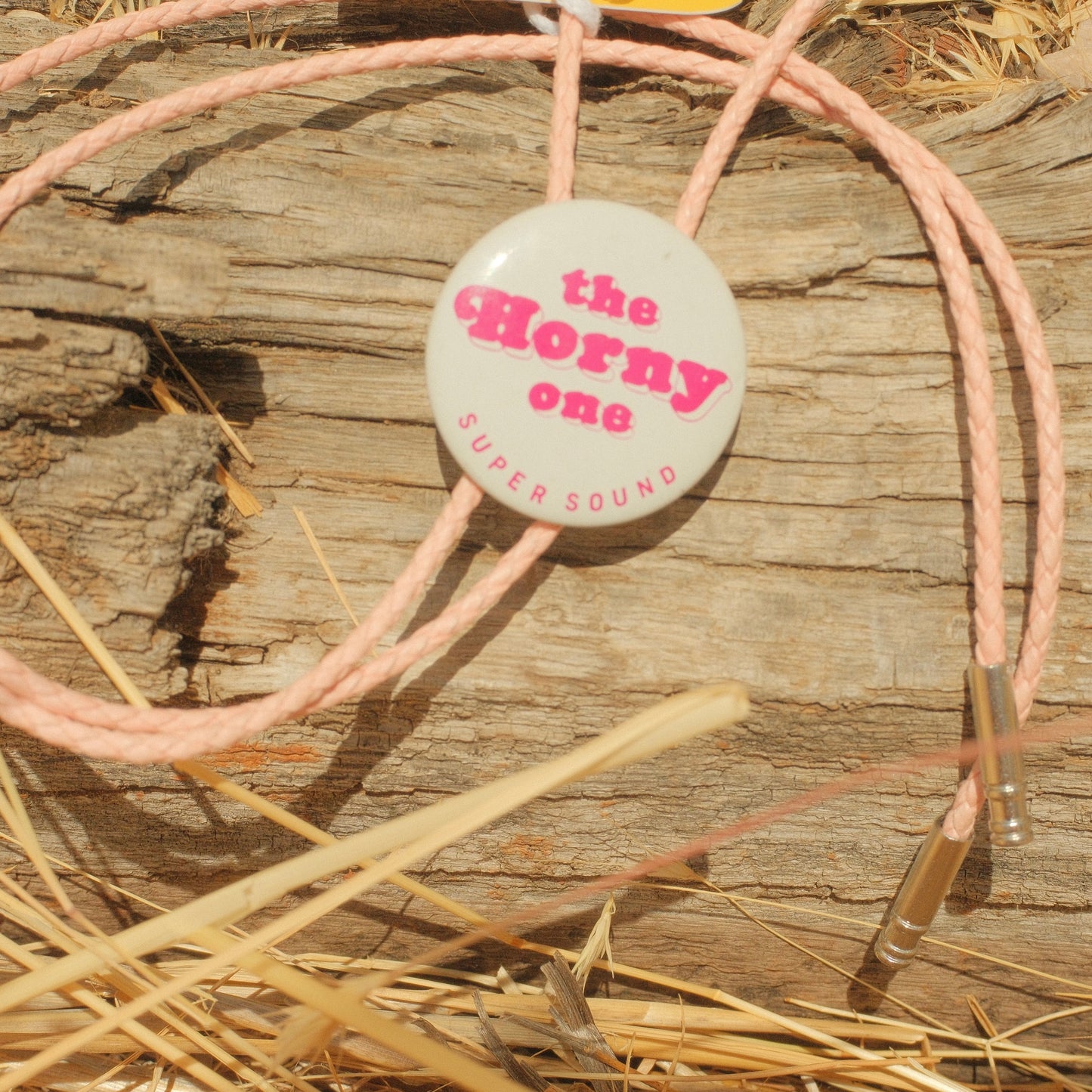 377 Vintage Button Bolo Tie - “The Horny One”
