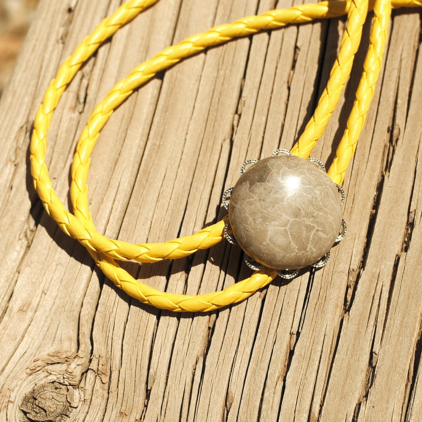 114 Coral Fossil Bolo Tie - “Pale Mesa”