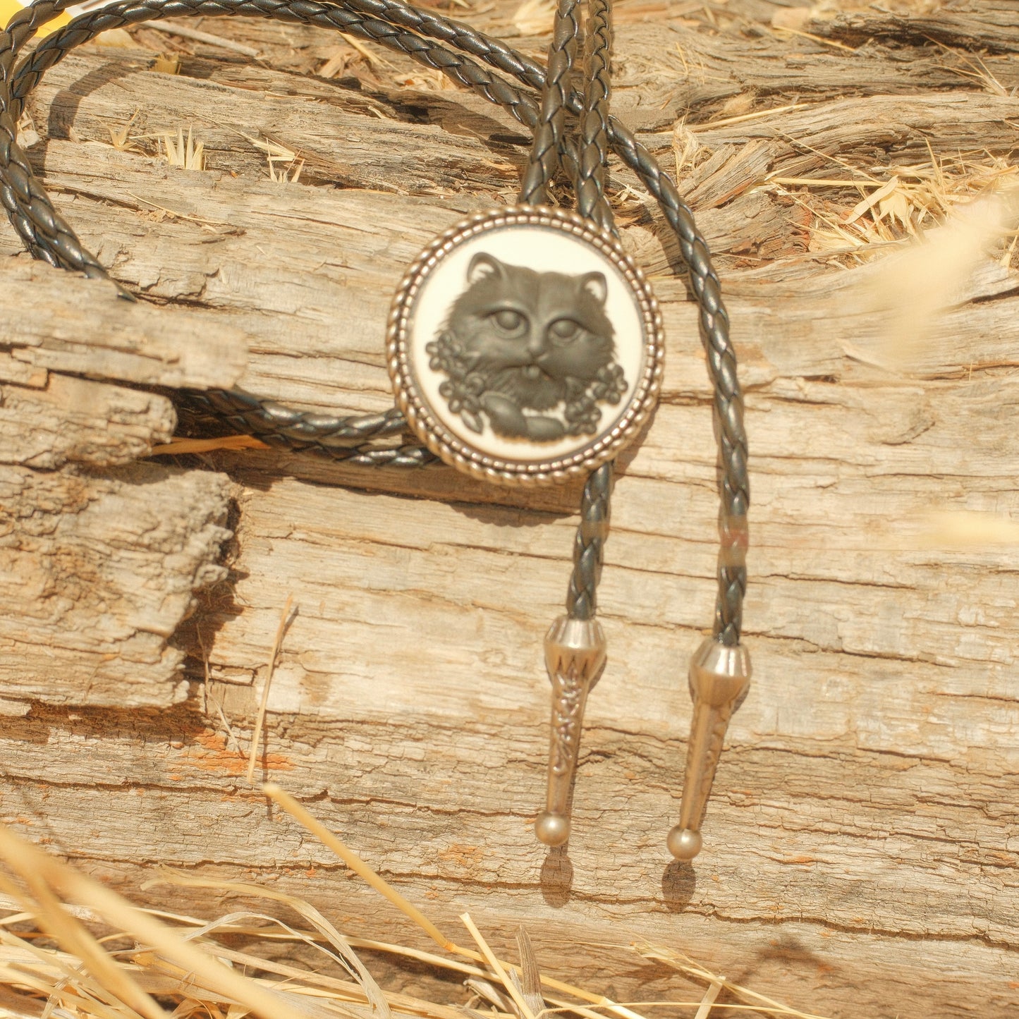 384 1940’s Cameo Cat Bolo Tie - “Velvet Whiskers”