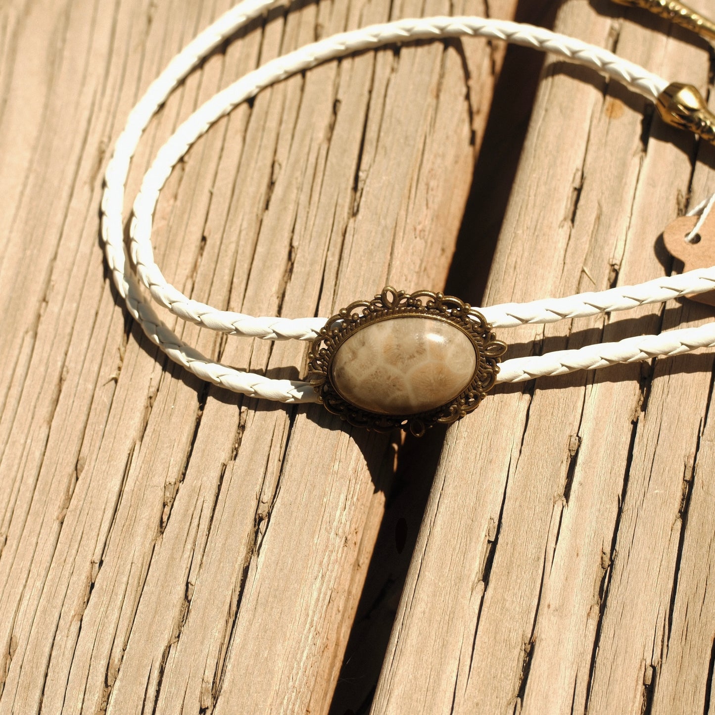 75 Coral Fossil Bolo Tie - “Dead Man’s Rodeo”