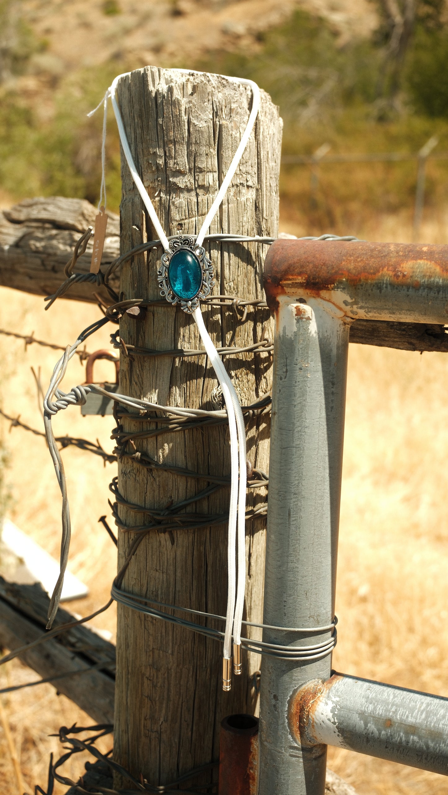 45 Resin Bolo Ties - “Camp Gems”