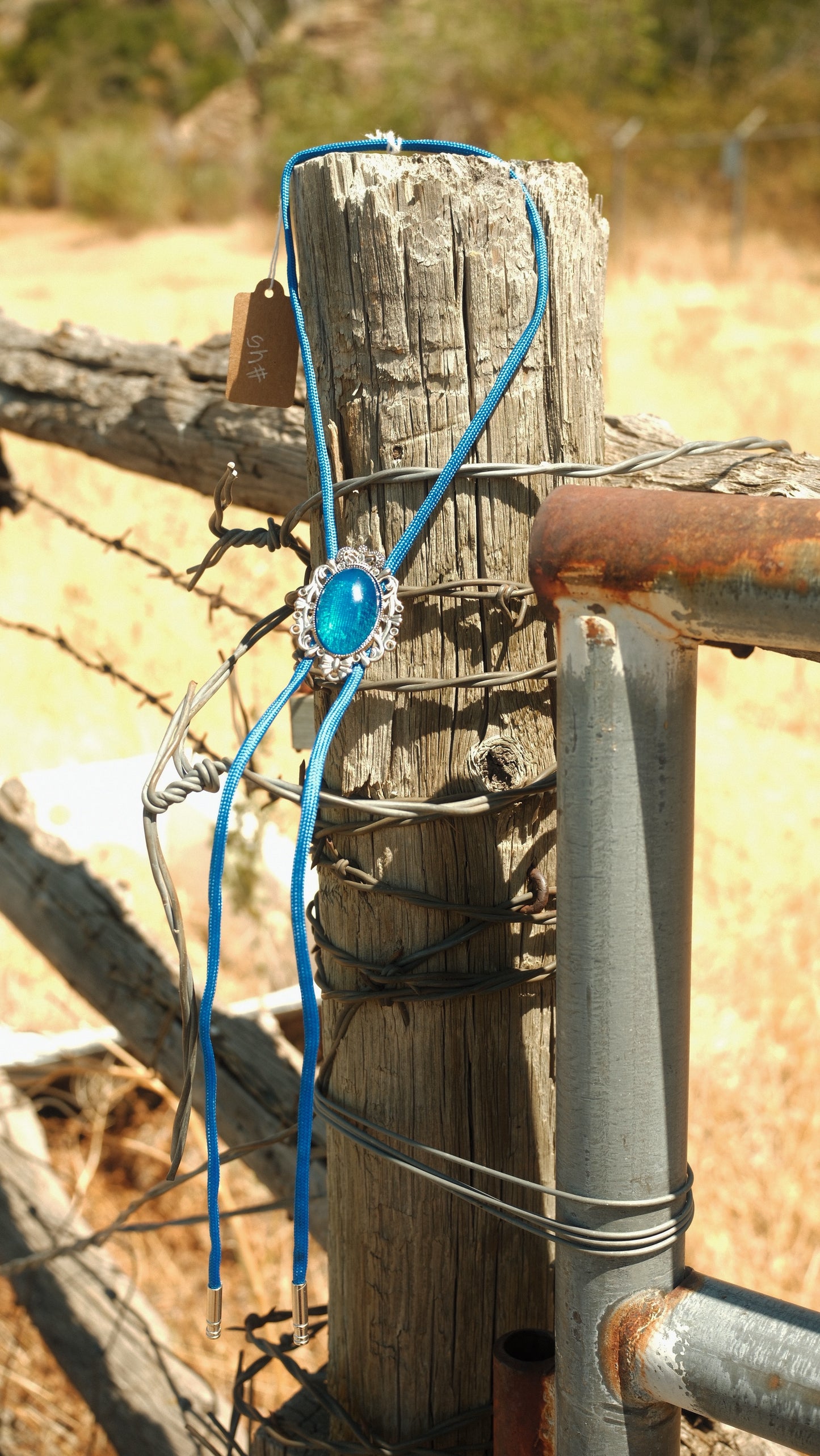 45 Resin Bolo Ties - “Camp Gems”
