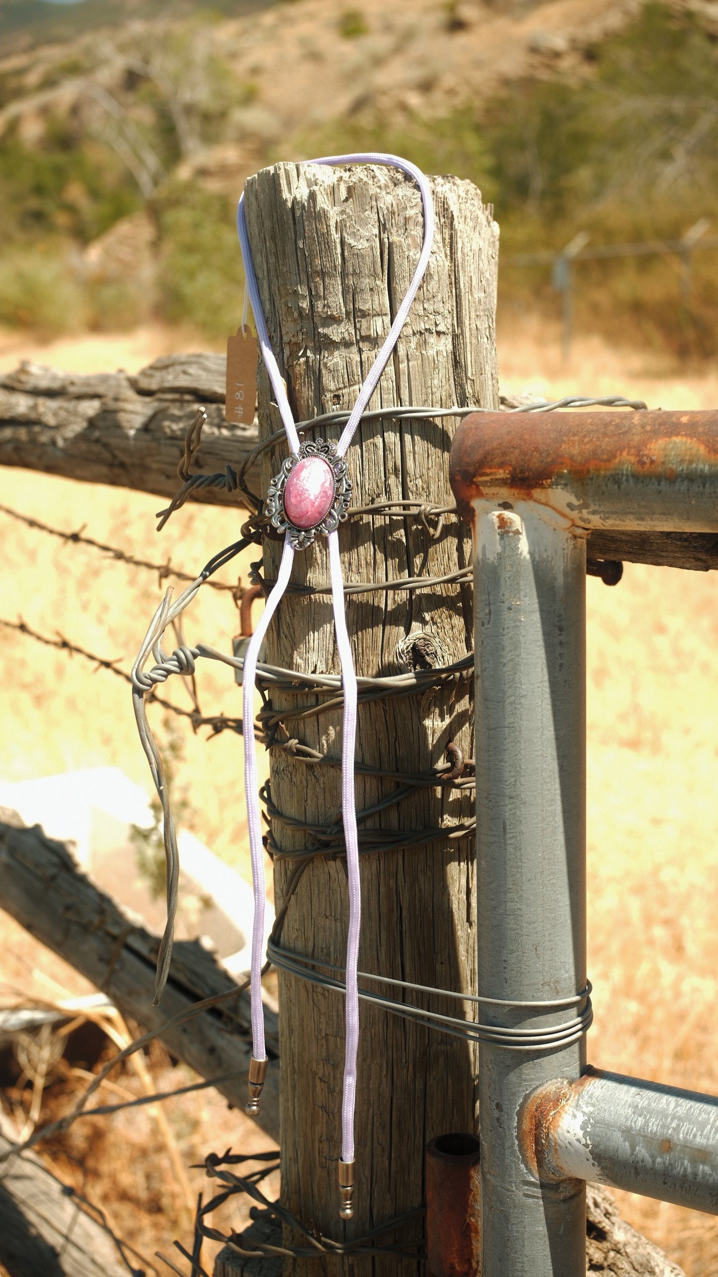 81 Resin Bolo Tie - “Lipstick Draw”